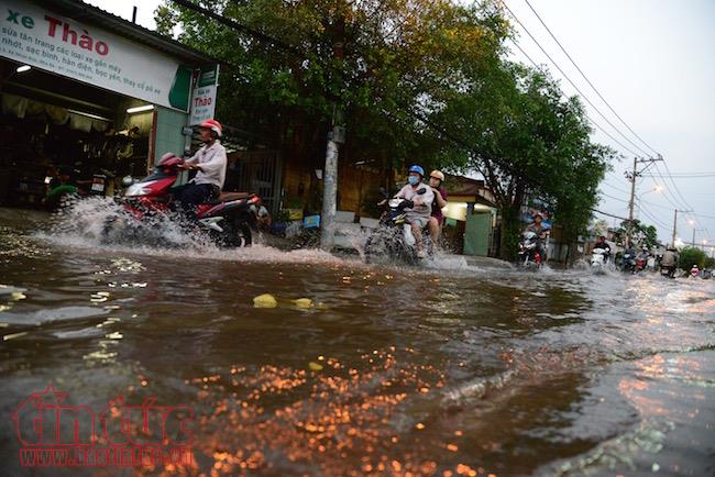 Người dân TP Hồ Chí Minh lại dầm mình trong nước triều cường ảnh 10