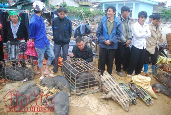 Độc đáo chợ phiên Tam Đường đất ảnh 8
