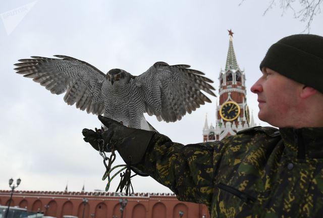 Đội ngũ lông vũ 'tinh nhuệ' bảo vệ Điện Kremlin ảnh 1