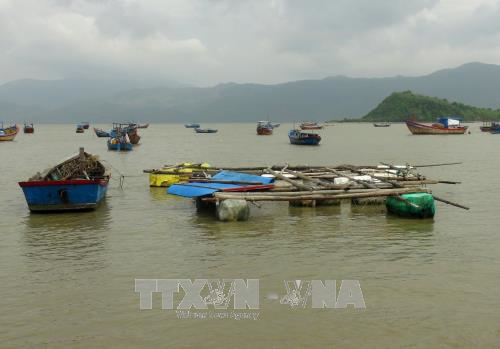 Khánh Hòa: Tỷ lệ hộ tái nghèo tăng mạnh sau bão số 12 ảnh 1