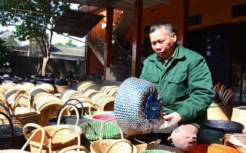 Người thương binh làm giàu từ nghề làm cói truyền thống ảnh 1