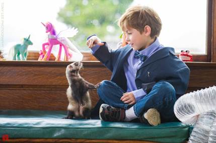 ‘Wonder: Điều kỳ diệu’ - Bộ phim ấm áp và xúc động mùa Giáng Sinh ảnh 3
