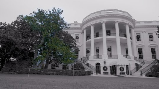 Lý do bà Melania Trump cho chặt cây mộc lan 200 tuổi trong Nhà Trắng ảnh 1