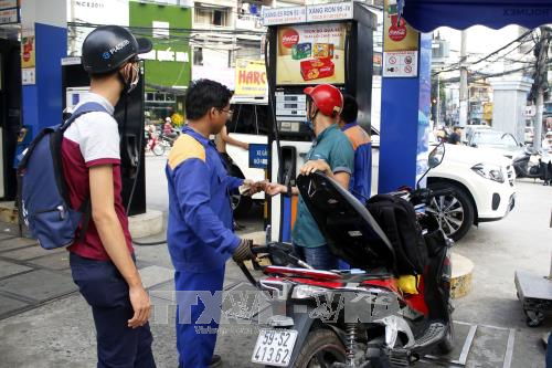 Xăng sinh học E5 khác gì xăng RON 95? ảnh 1