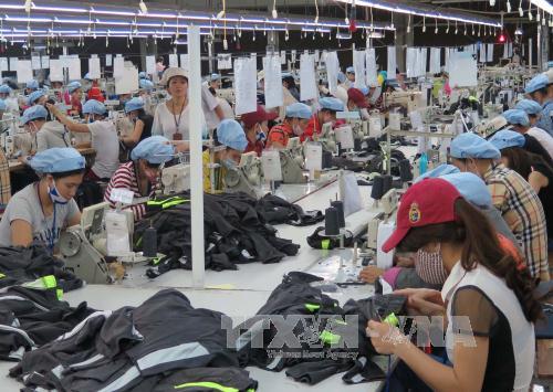 Cú hích để ngành dệt may khởi sắc ảnh 1