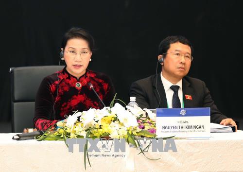 Thông qua chương trình nghị sự và chương trình hoạt động của APPF-26 ảnh 1