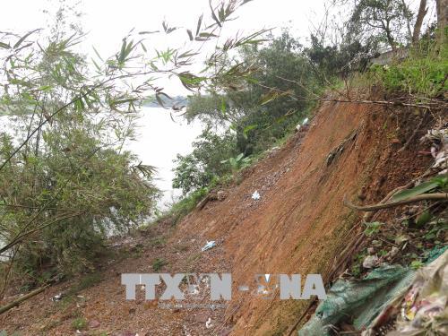 Bờ sông Thạch Hãn sạt lở nghiêm trọng do nạn khai thác cát ảnh 2