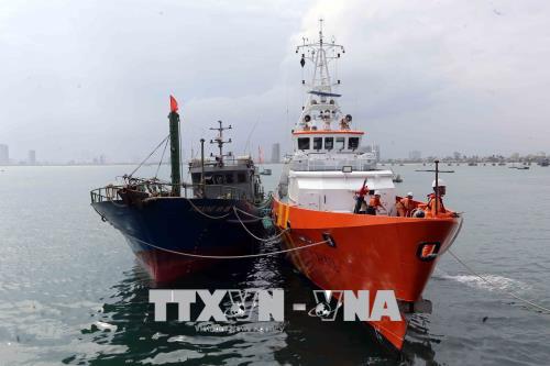 Lai dắt thành công tàu cá bị nạn cùng 11 ngư dân về đất liền an toàn ảnh 1