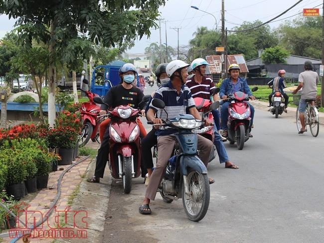 Làng hoa Sa Đéc rực rỡ sắc màu chuẩn bị thị trường Tết 2018 ảnh 10