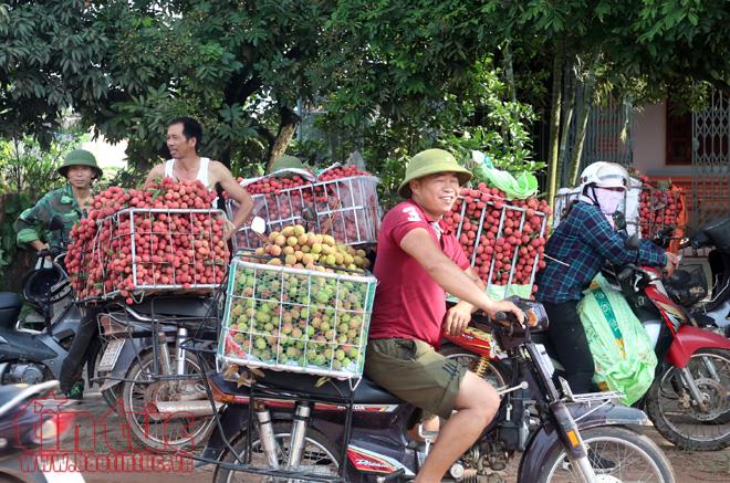 Tấp nập thương lái mua gom vải thiều Lục Ngạn, Bắc Giang ảnh 1
