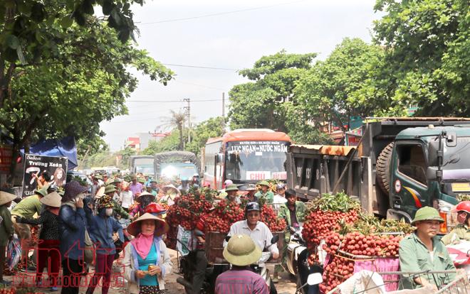 Tấp nập thương lái mua gom vải thiều Lục Ngạn, Bắc Giang ảnh 3