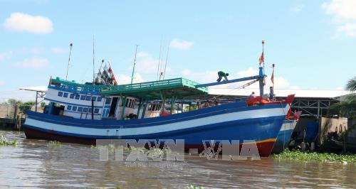 Tàu cá đóng mới neo đậu trên sông Cái Bé, huyện Châu Thành. Ảnh: Lê Huy Hải/TTXVN