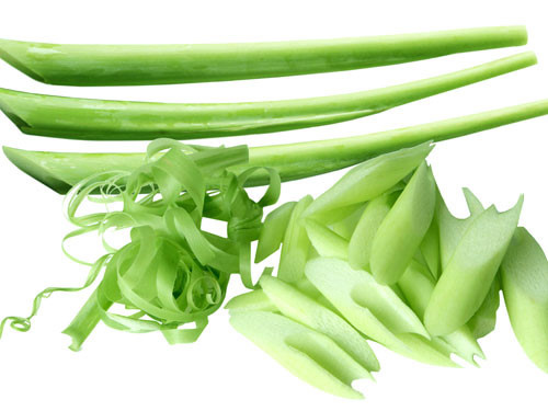 Dọc mùng có thể gây dị ứng, thậm chí sốc phản vệ
