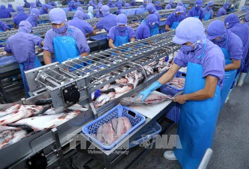 Moody’s dự báo tăng trưởng GDP thực tế của Việt Nam sẽ tiếp tục vững mạnh ảnh 1