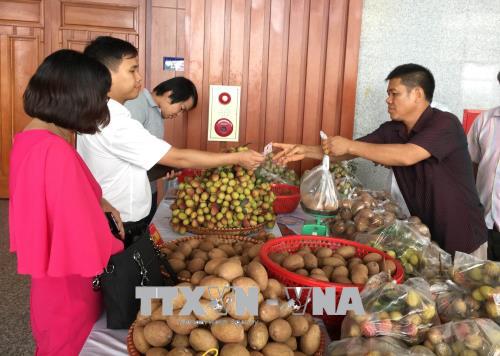 Gian hàng giới thiệu sản phẩm vải lai chín sớm của huyện Phù Cừ. Ảnh: Đinh Tuấn/TTXVN