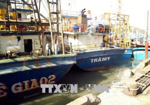 Tàu vỏ thép làm dịch vụ hậu cần ở Bình Định làm ăn thua lỗ và phải neo ở cảng Đề Gi. Ảnh: Nguyên Linh/TTXVN