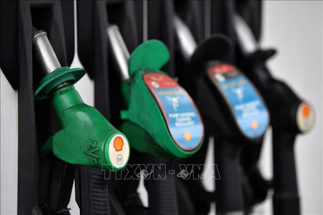  Tại sao nỗ lực cắt giảm sản lượng của OPEC+ không thể ngăn giá dầu lao dốc? 