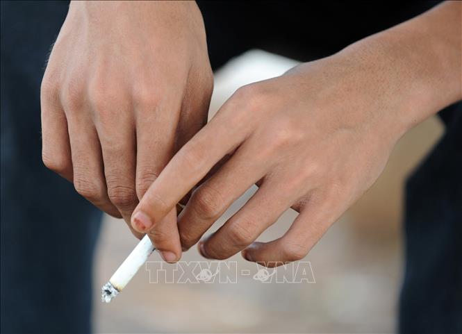  Hút thuốc lá làm tăng mỡ bụng và nguy cơ mắc bệnh mãn tính 