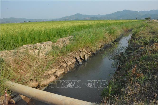  Vụ nghiệm thu 'khống' công trình thủy lợi ở Đắk Lắk: Con voi suýt chui lọt lỗ kim 