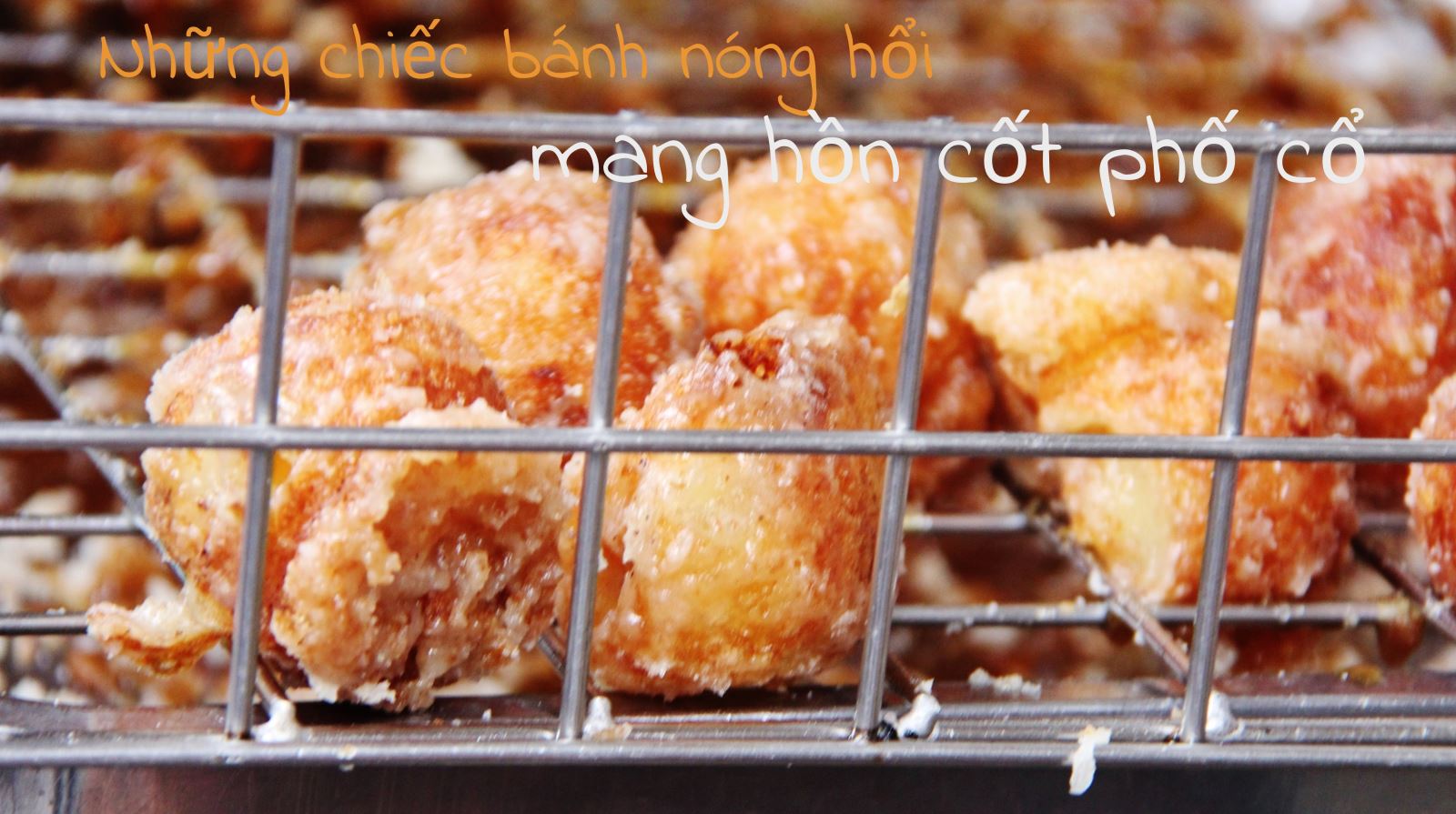Hà Nội mùa thu, Hà Nội nhớ. Xôn xao con đường, xôn xao lá… ảnh 6
