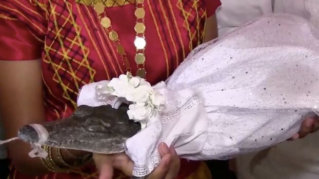  Thị trưởng ở Mexico thực hiện nghi lễ truyền thống cưới cá sấu 