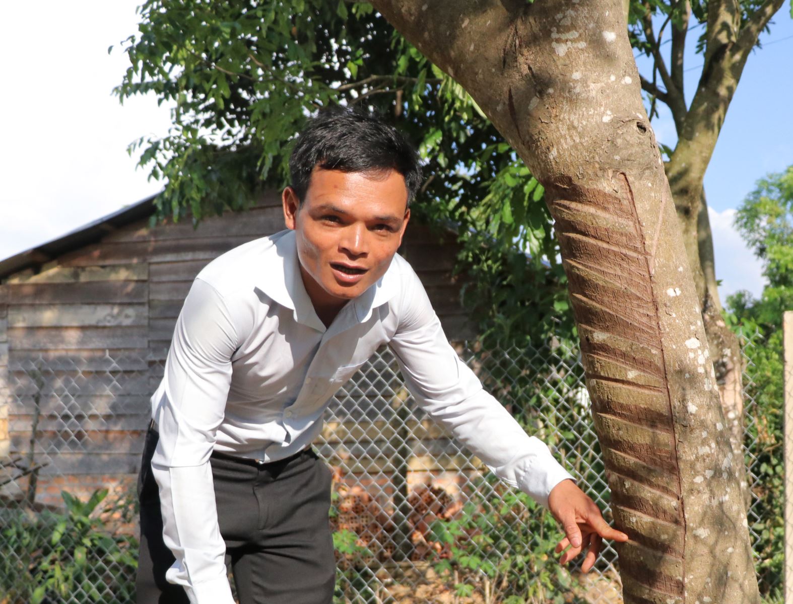 Chú thích ảnh