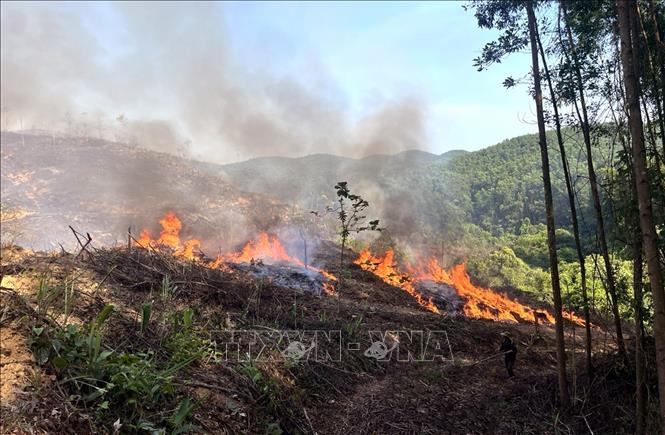  Chủ động ứng phó với nguy cơ cháy rừng mùa khô  