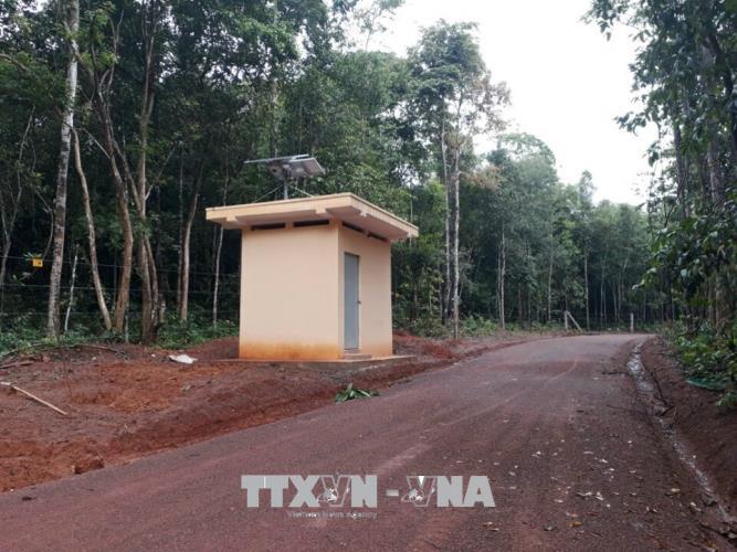 Voi rừng né hàng rào điện phá nương rẫy, vườn cây ăn trái ảnh 4
