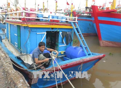 Các địa phương khẩn trương ứng phó với bão số 3 ảnh 1