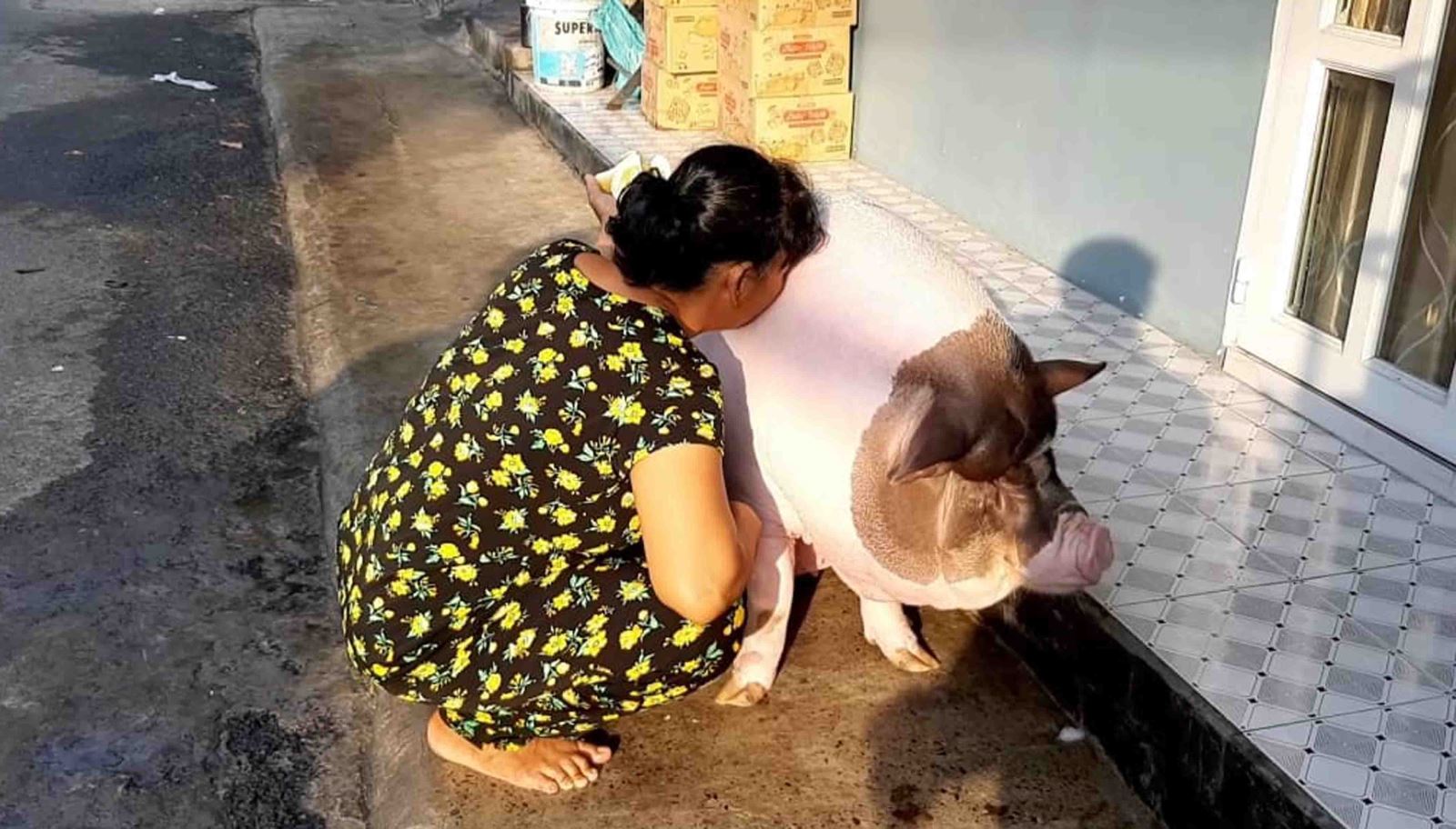 Chú thích ảnh