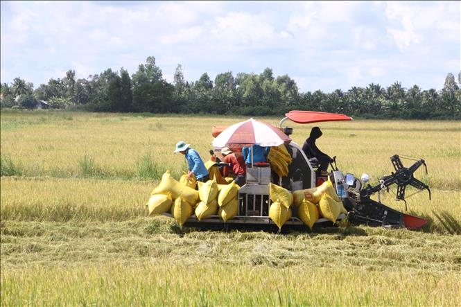  Sóc Trăng: Tiếp tục đẩy mạnh cơ cấu lại ngành nông nghiệp 